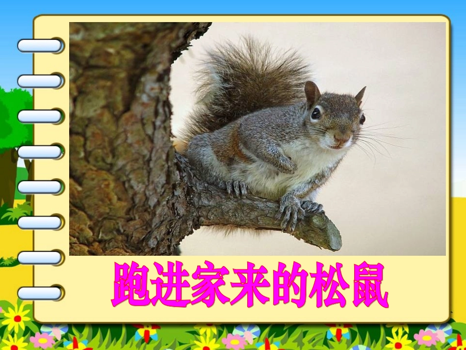 《跑进家来的松鼠》教学设计_第3页