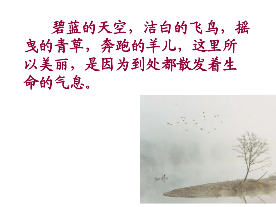 286世界因生命而精彩课件_第3页