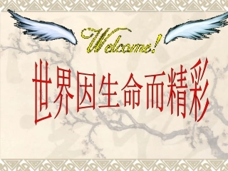 286世界因生命而精彩课件