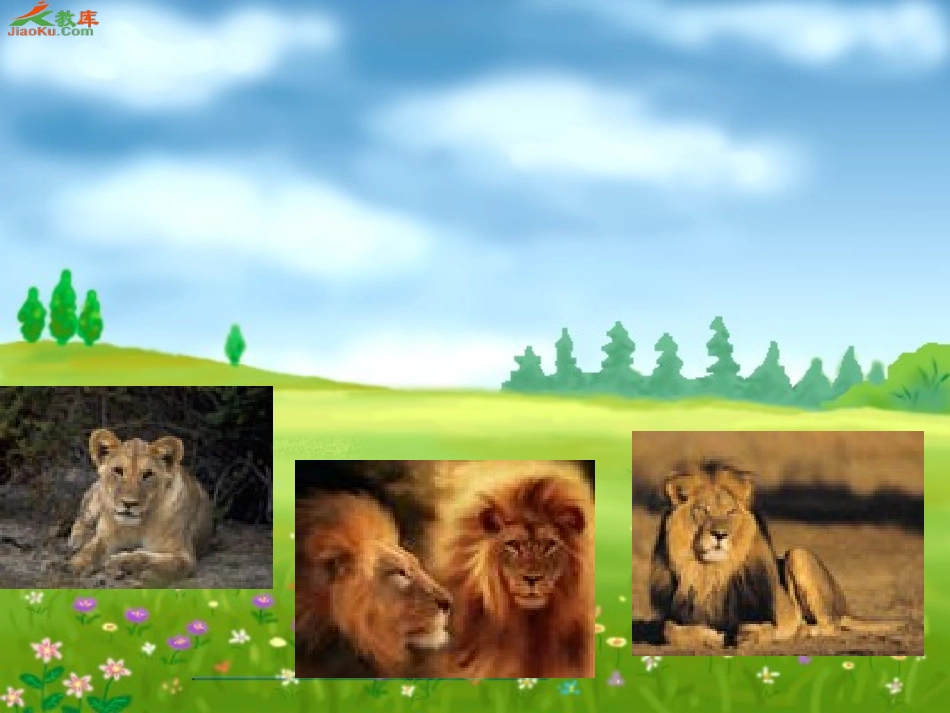 两只小狮子课件 (2)_第2页