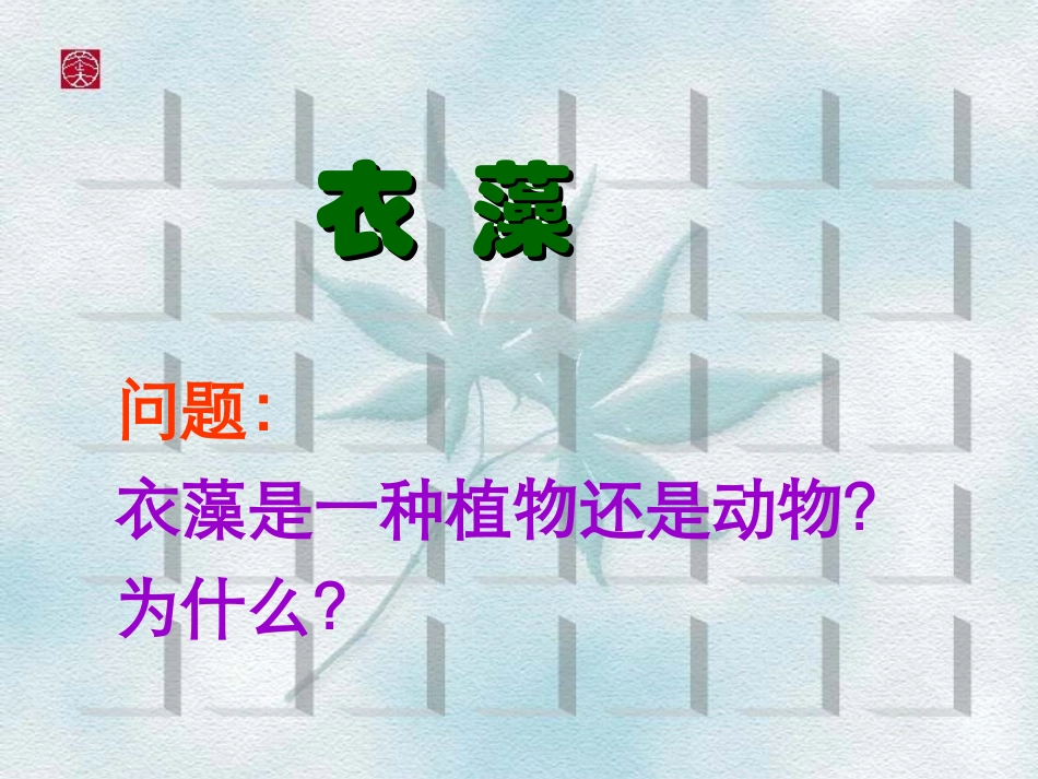 显微镜下的各种生物_第2页