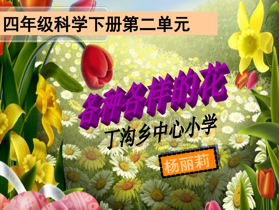 各种各样的花_课件1_第1页
