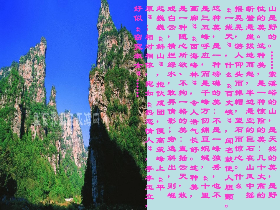 索溪峪的野课件_第2页