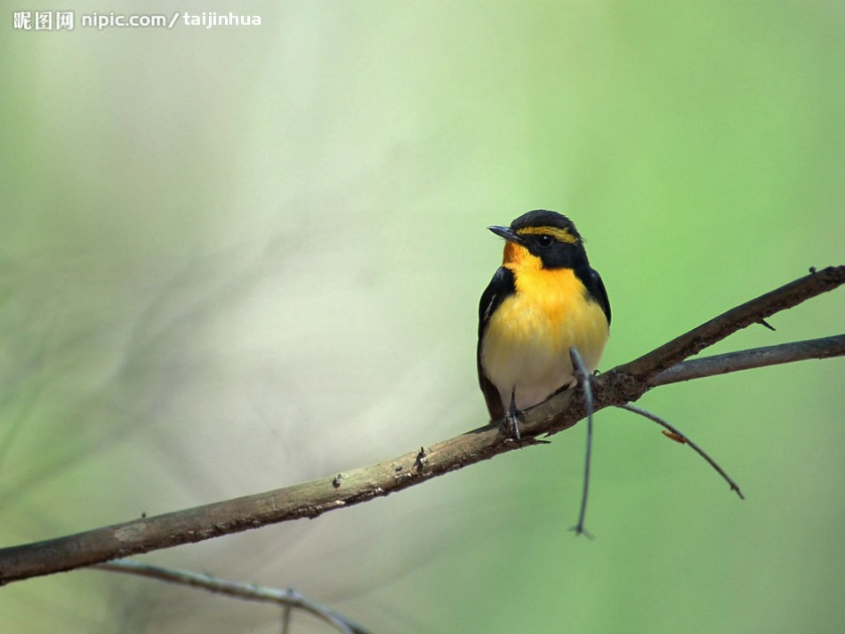 《明天不封阳台》多媒体课件_第3页