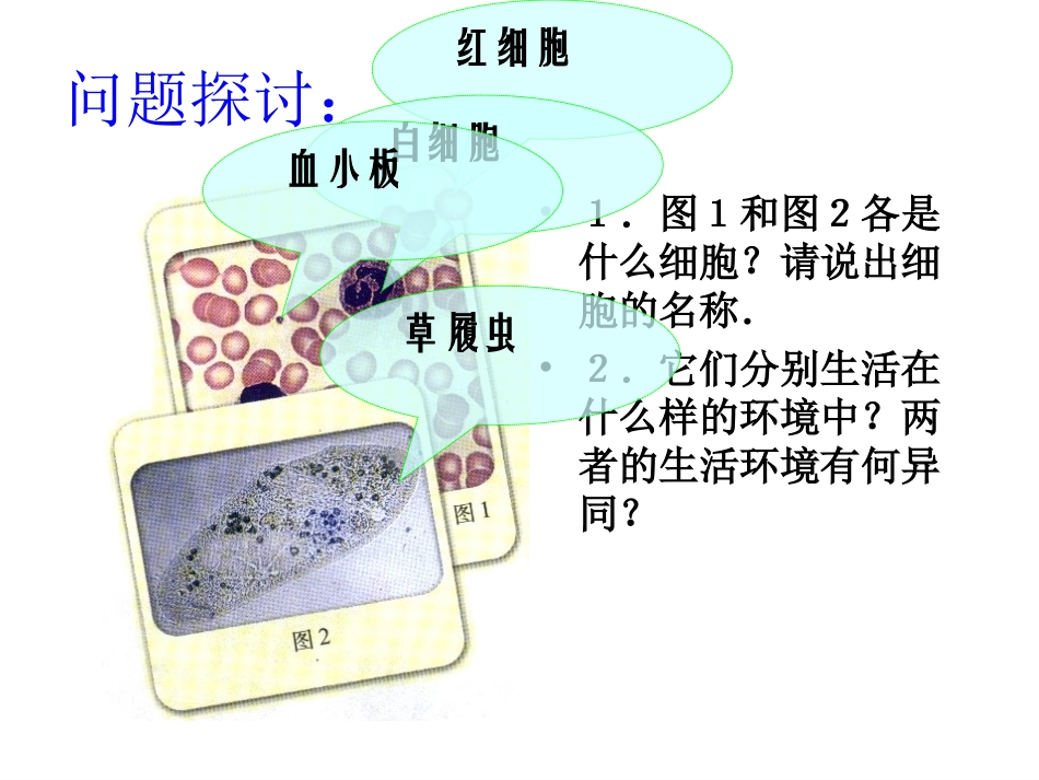 人教版教学课件必修三第一章第一节细胞生活的环境_第2页