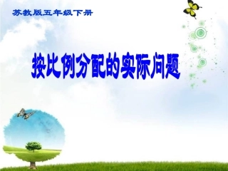 按比例分配的实际问题