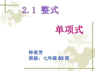 课件.1.1-整式-单项式课件