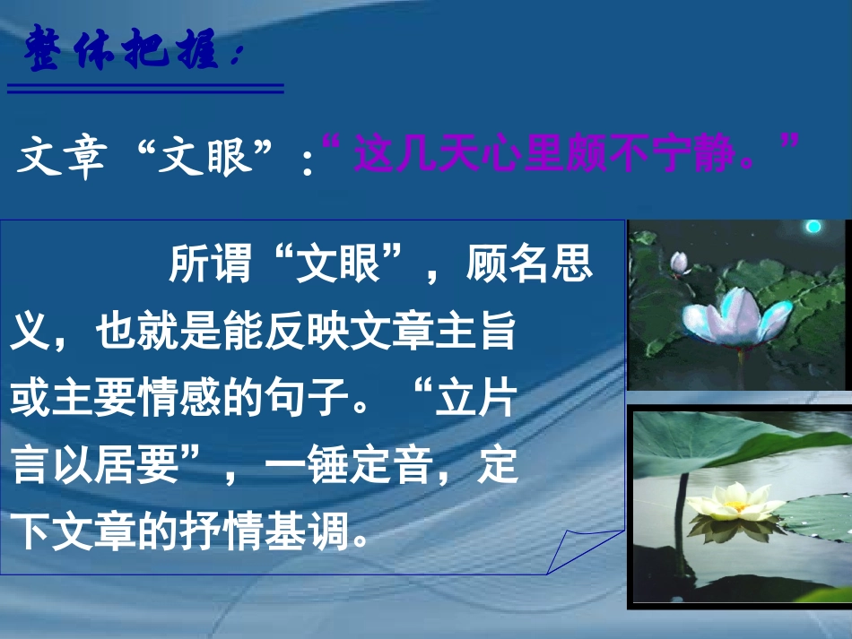 《荷塘月色》课件_第2页