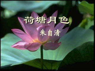 《荷塘月色》课件