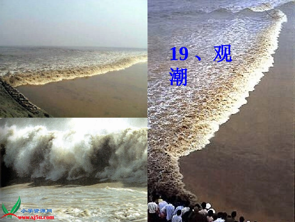 《观潮》课件.ppt2_第2页
