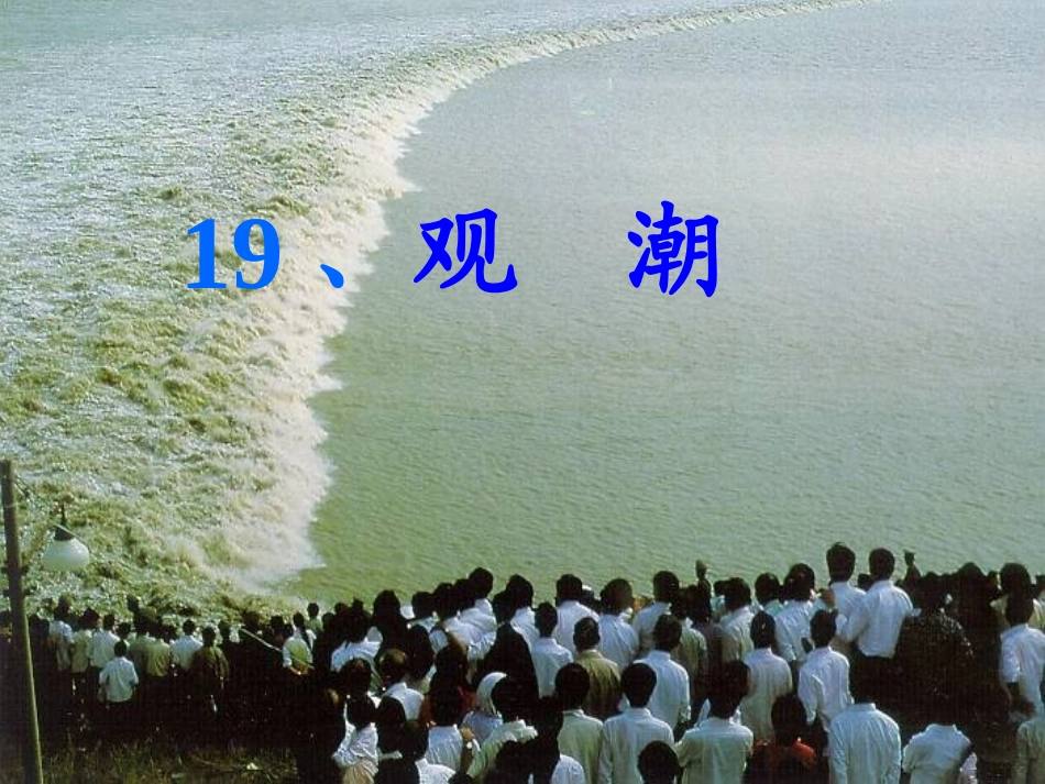《观潮》课件.ppt2_第3页