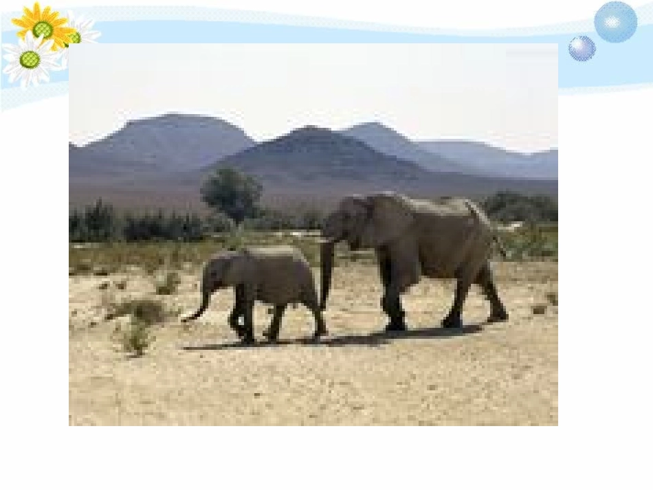 三门峡市第一届小2_第2页