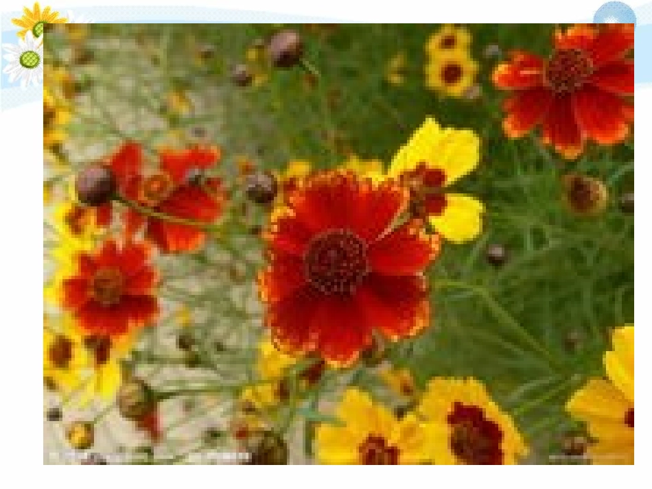 三门峡市第一届小2_第3页