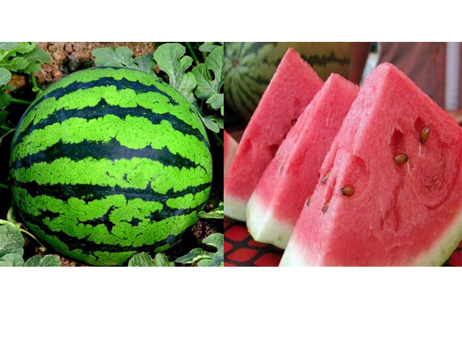 我喜欢的水果_第2页