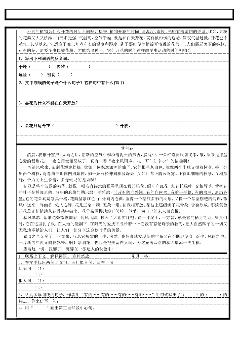 第四单元花钟导学案_第2页