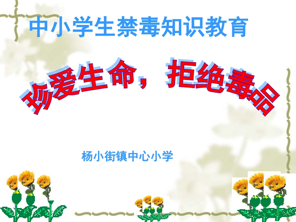 禁毒教育课件_第1页