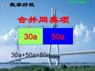 合并同类项1