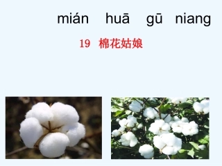 (部编)人教语文2011课标版一年级下册《棉花姑娘》第二课时教学课件