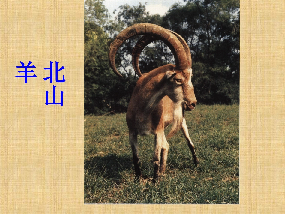 二年级地方其中测试兽类鸟类_第3页