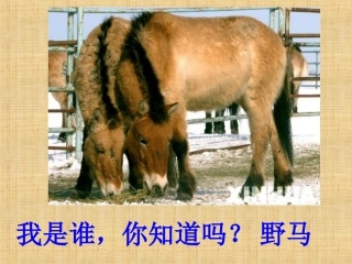 二年级地方其中测试兽类鸟类