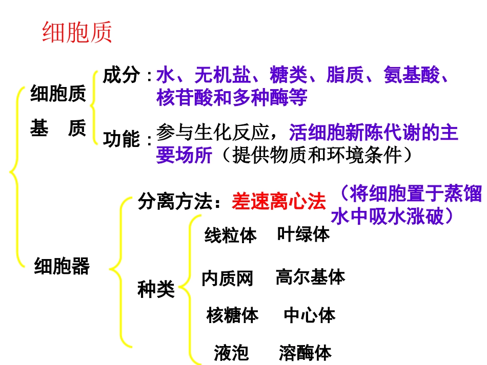 高一生物细胞器课件_第2页