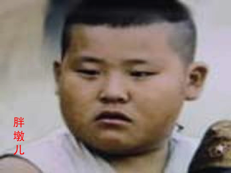 小嘎子和胖墩儿比赛摔跤ppt_第2页