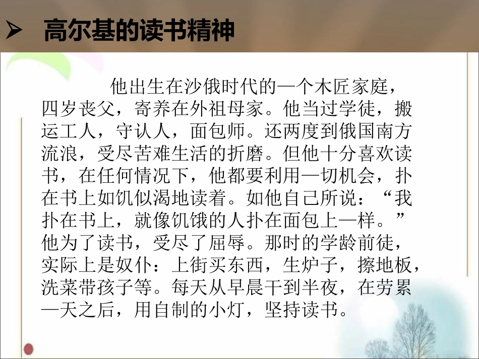 爱读书的高尔基_第2页