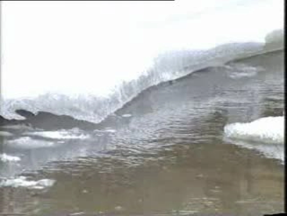 我眼中的春天_第3页