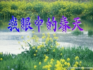 我眼中的春天