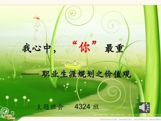 职业价值观班会课