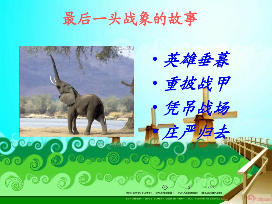 796最后一头战象_第3页