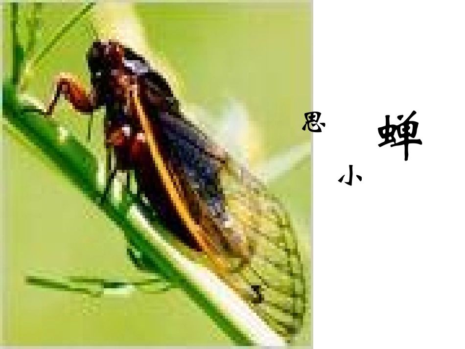 3、短文两篇_第1页