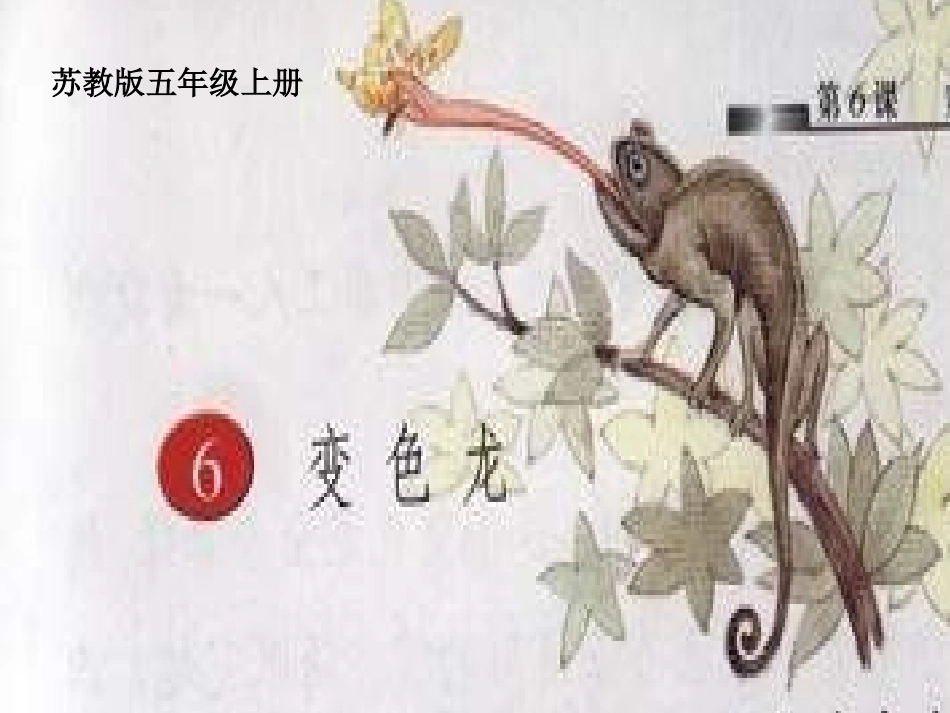 《变色龙》ppt课件_第1页