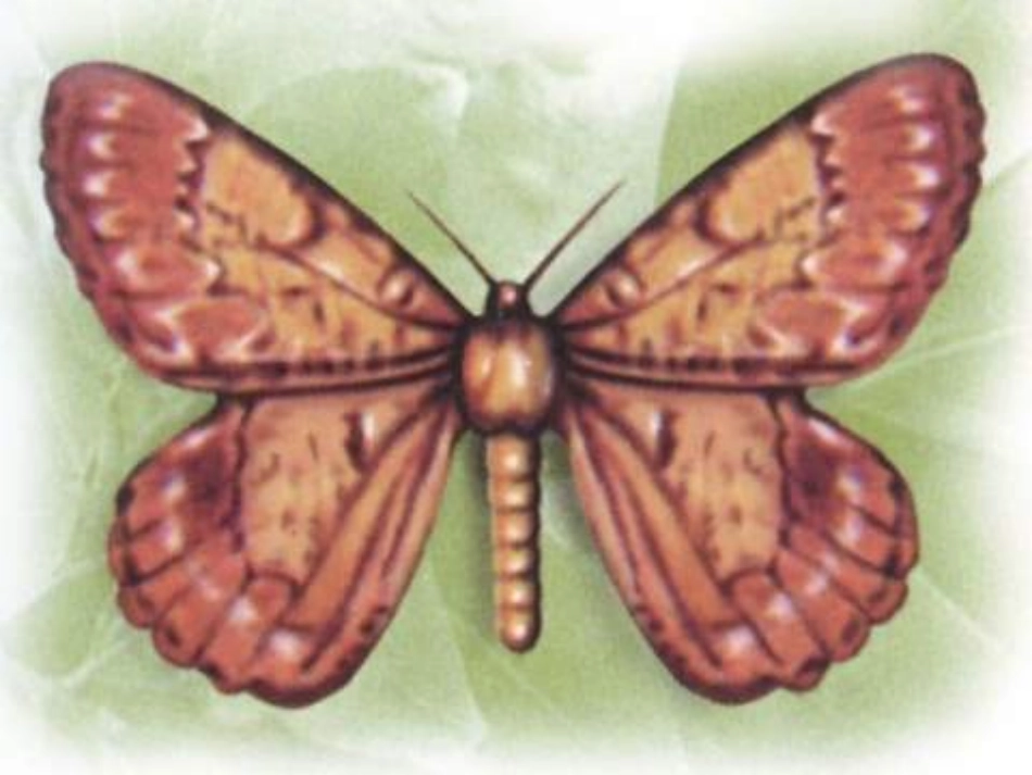 《变色龙》ppt课件_第2页