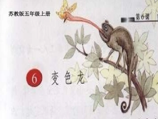 《变色龙》ppt课件