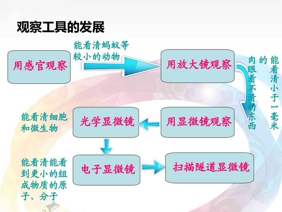 视野拓展的进程_第2页