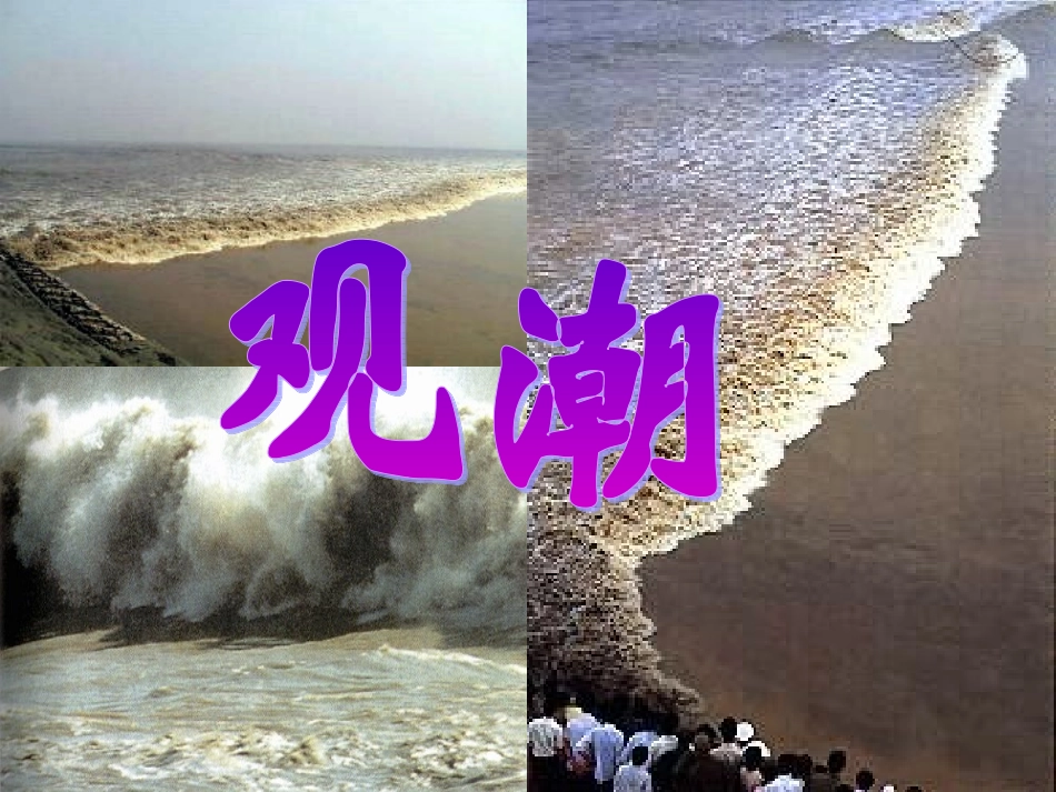 《观潮》课件3_第1页
