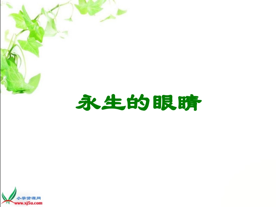 《永生的眼睛》_第3页