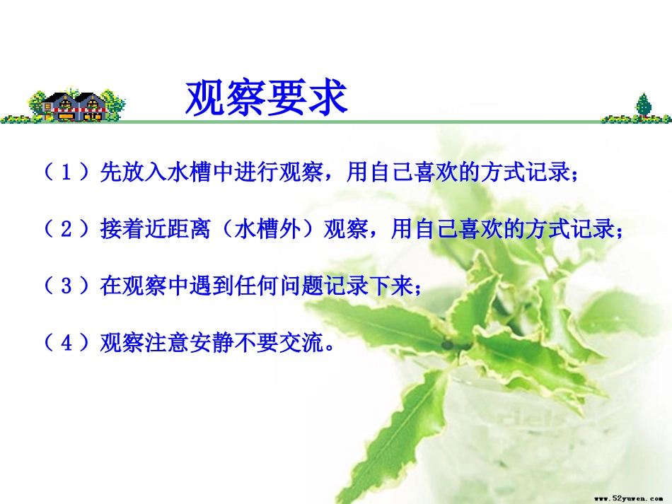 1.4观察水生植物_第3页