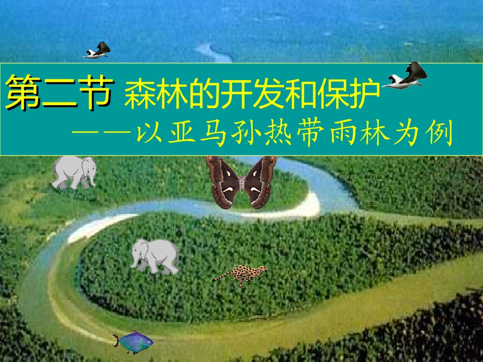 森林的开发和保护_第1页