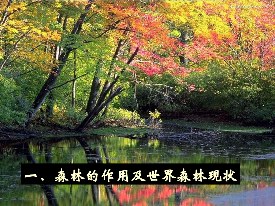 森林的开发和保护_第2页