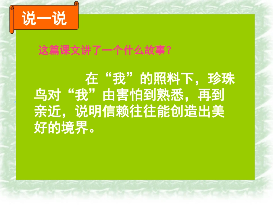 540珍珠鸟ppt_第3页