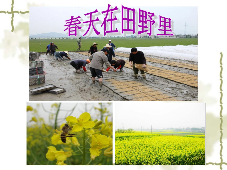 《春天在哪里》_第3页