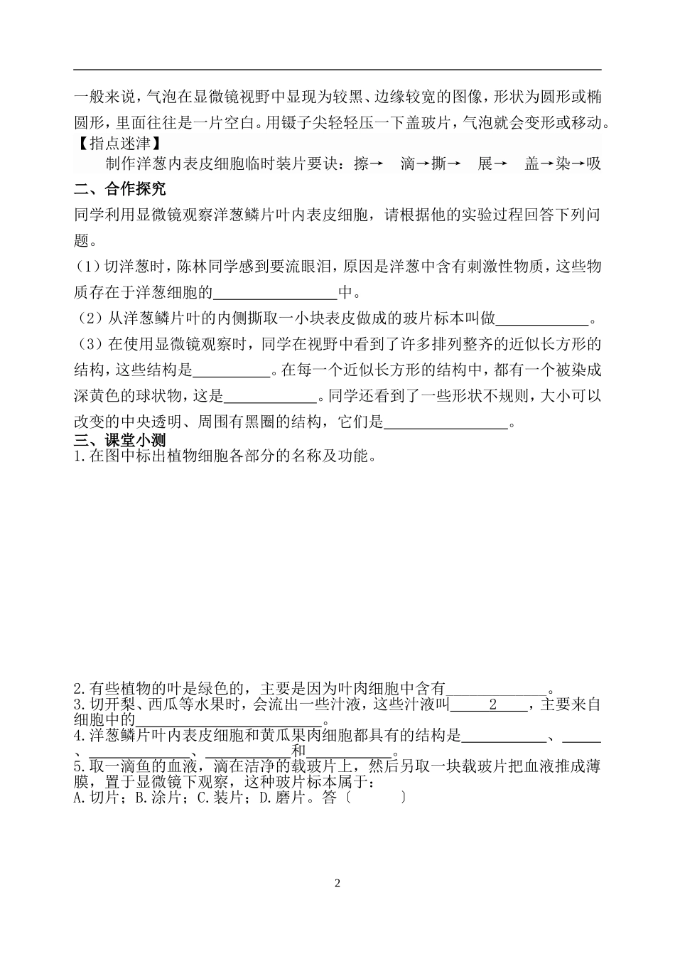 观察植物细胞_第2页