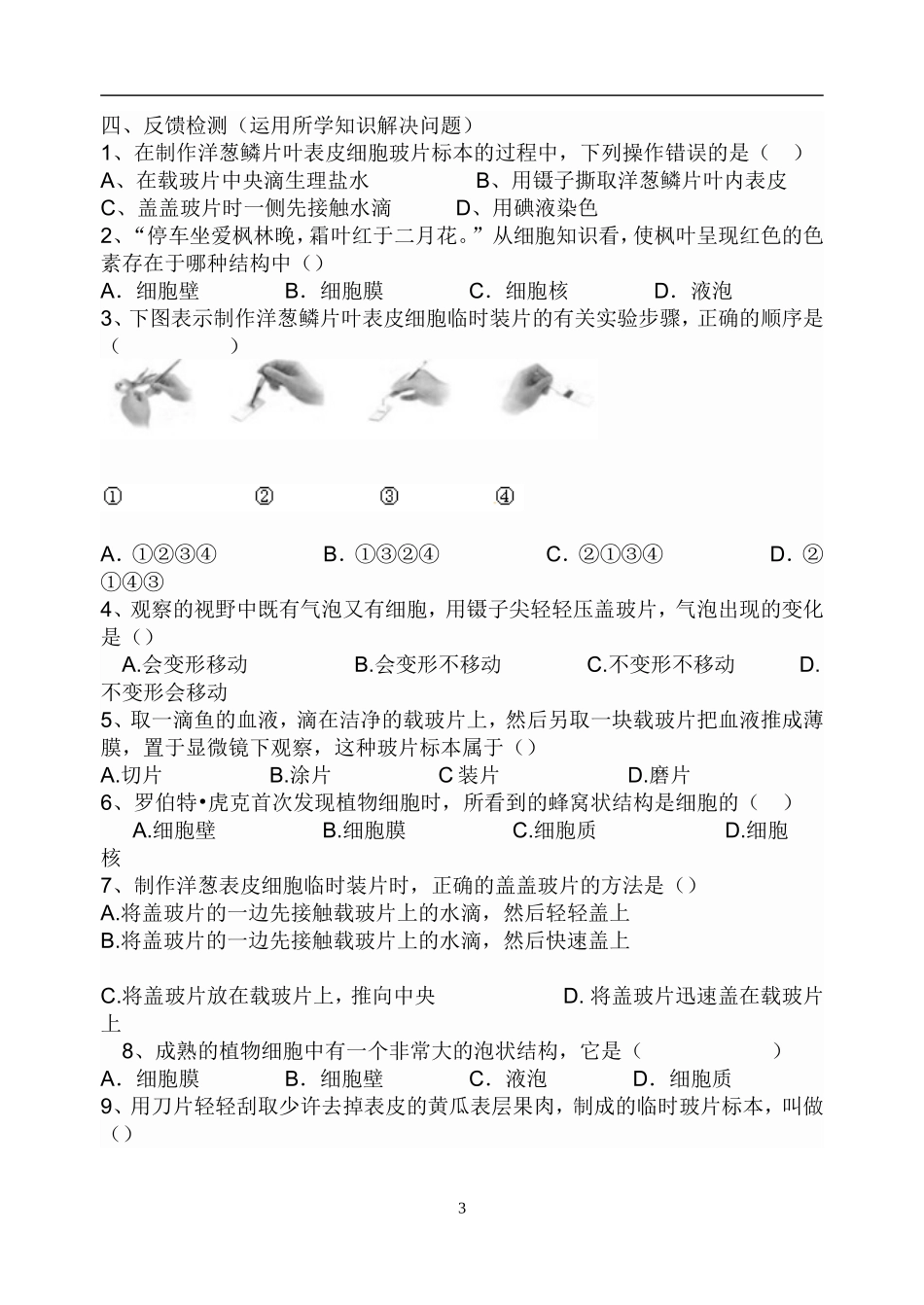 观察植物细胞_第3页