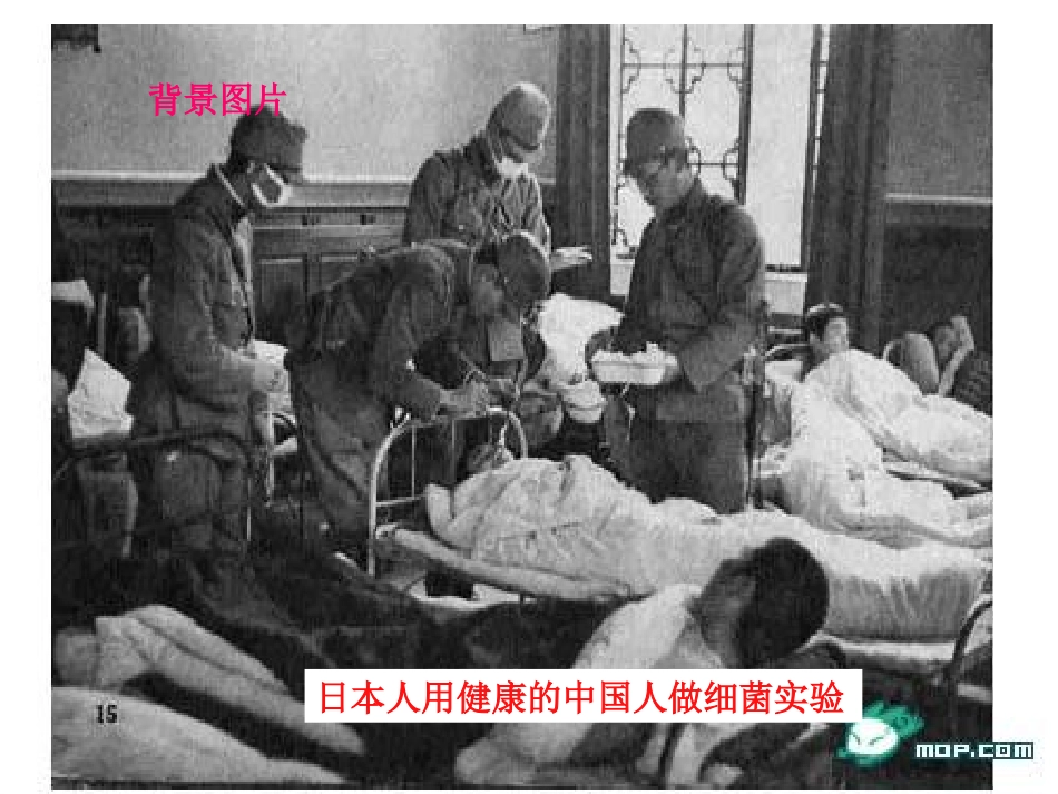 《土地的誓言》ppt课件_第3页