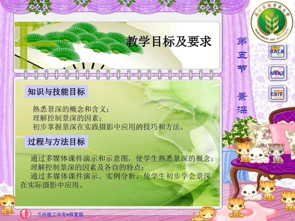 摄影中的景深-课件_第2页