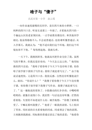 啥子与“傻子”