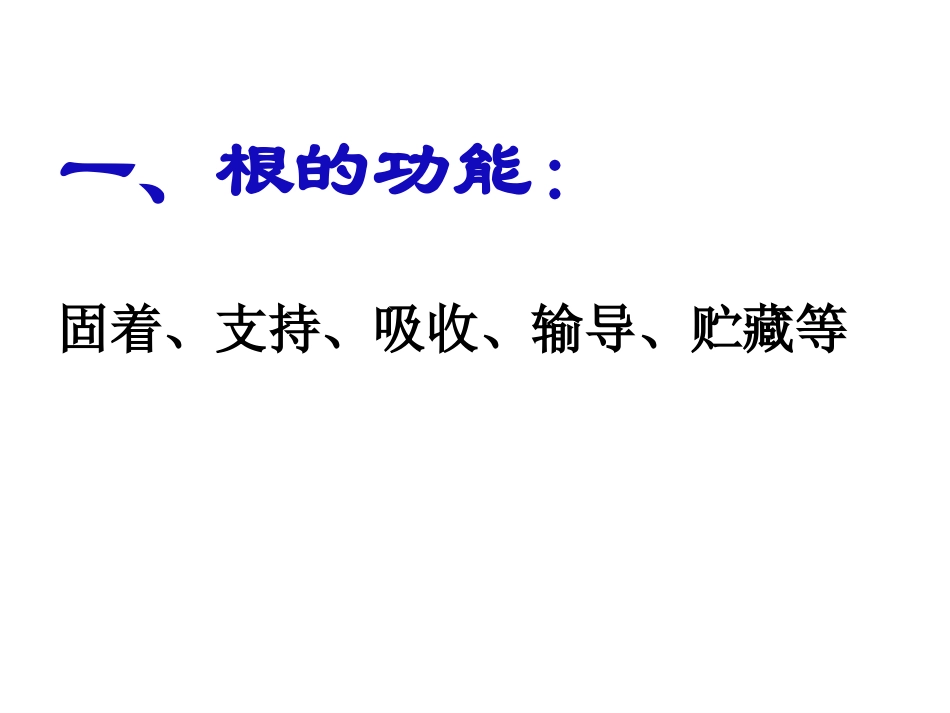 苏教版七上第五章第二节植物根的生长（共23张PPT）_第3页