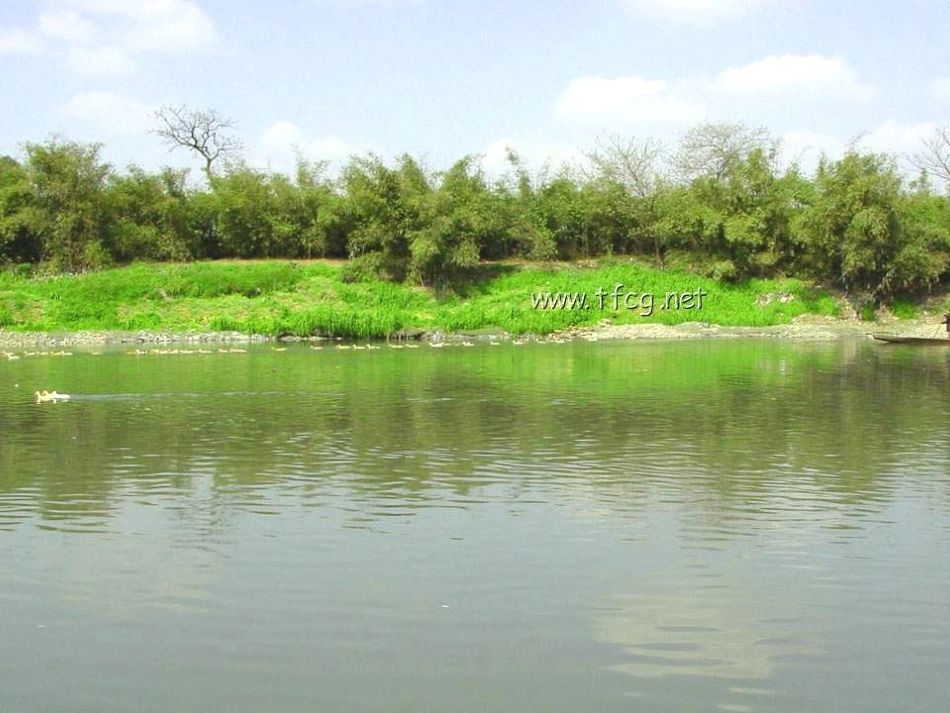 小学四年级语文《燕子》课件_第2页